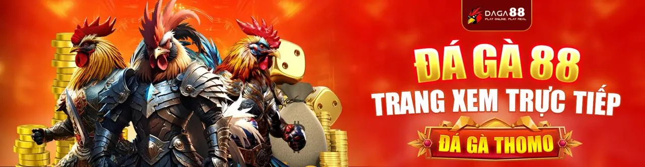 Hình ảnh chính về nền tảng 23win bet hàng đầu Việt Nam