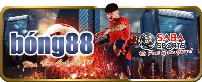 Đội ngũ chuyên nghiệp